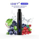iget-legend-blueberry-berries-blackcurrant.jpeg