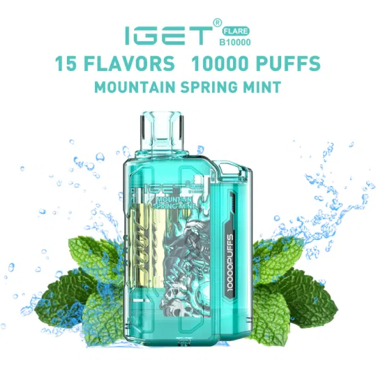 IGET FLARE B10000 Mountain Spring mint